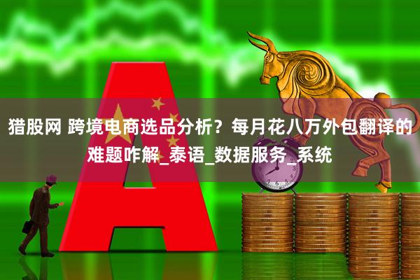 猎股网 跨境电商选品分析？每月花八万外包翻译的难题咋解_泰语_数据服务_系统